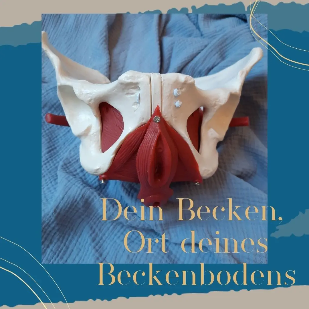 Bild weibliches Becken(2)